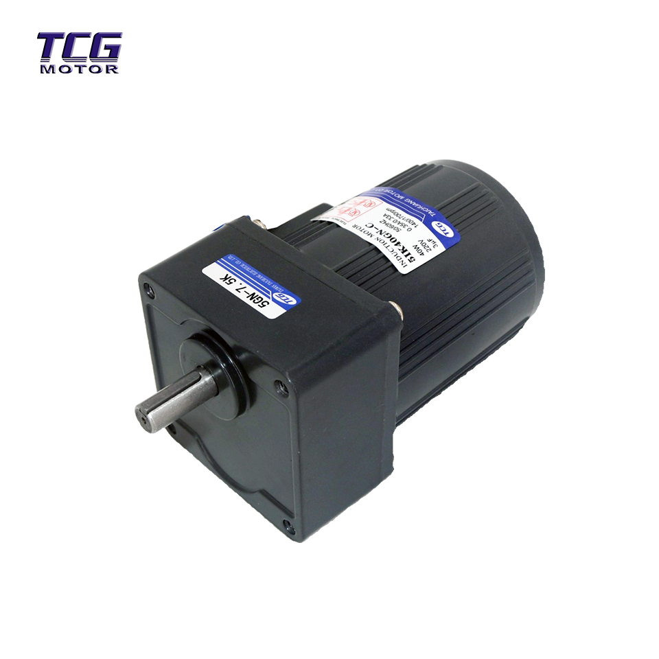 40w ac micro motor 40w ac micro motor