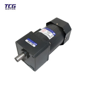 60rpm ac mini motor
