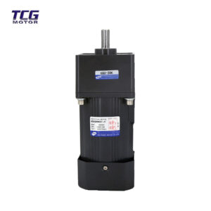 60w ac motor