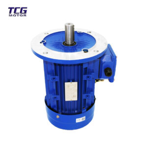 b5 ie3 motor