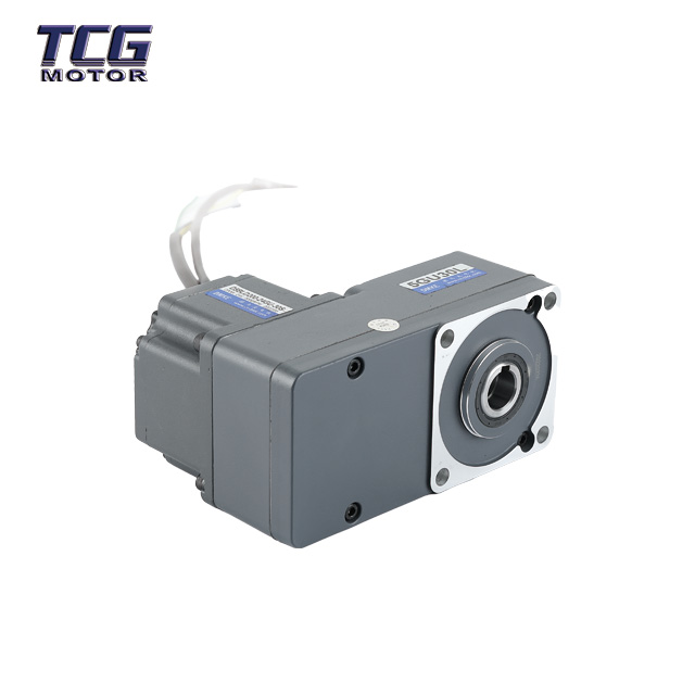 mg 7402 mg 7402