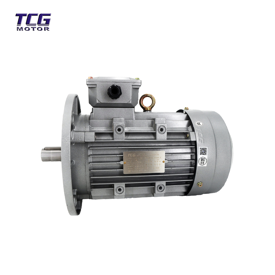 vertical flanged motor vertical flanged motor