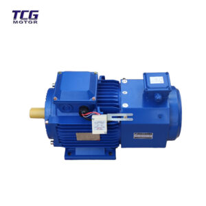 ac motor with brake