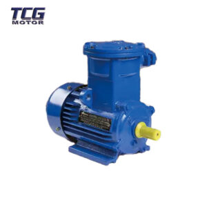 anti explosion motor