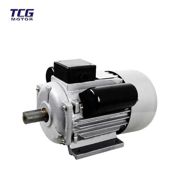 dual capacitor motor dual capacitor motor