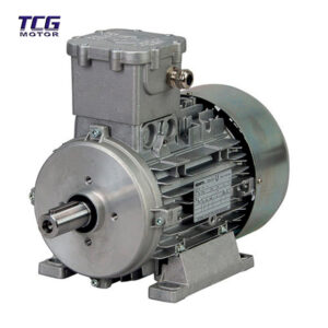 explosion proof motor