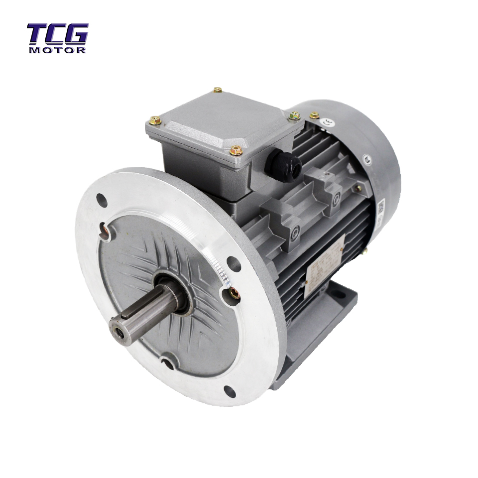 foot amount flanged motor foot amount flanged motor