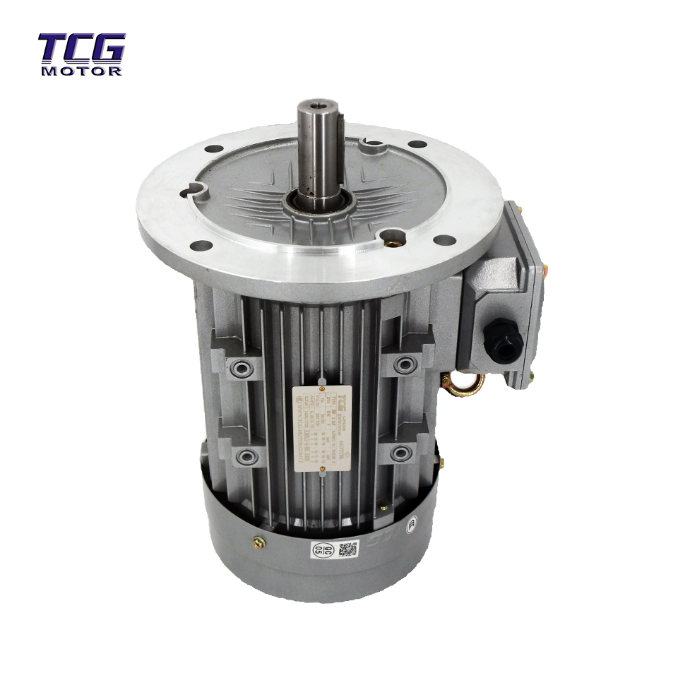silver color b5 motor silver color b5 motor